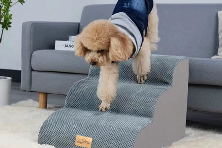 Pet Training Stairs with Removable Cover, 3, 4, 5 Steps, Bed, Sofa, Cats, Ladder, Ramp, XL